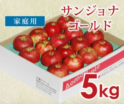 青森県産＂ ジョナゴールド ＂りんご 加工用 20kg 産地直送 リンゴ 林檎 楽天市場】リンゴ 20kgの通販