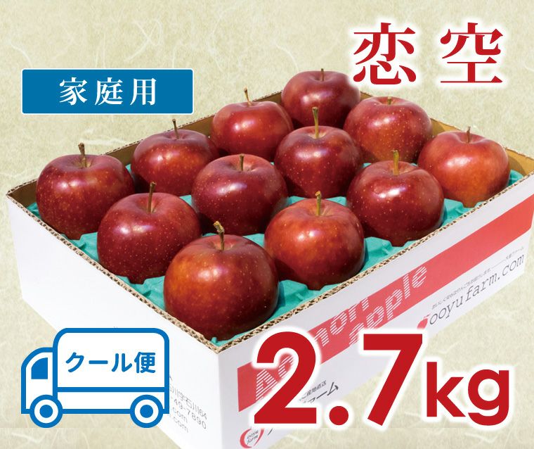 恋空【家庭用】【2.7kg】(8月中旬) 青森りんご産地直送 大湯ファーム 家庭用りんご 葉取らず恋空 3キロ