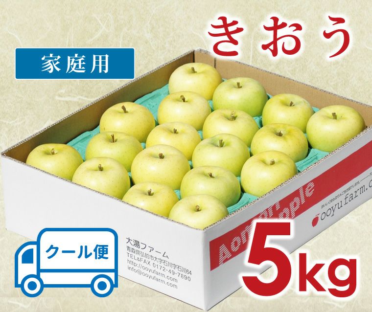 公式通販 りんご 贈答用 青森 きおう 特選 中玉 ギフト 10kg dagosanitarios.com.ar