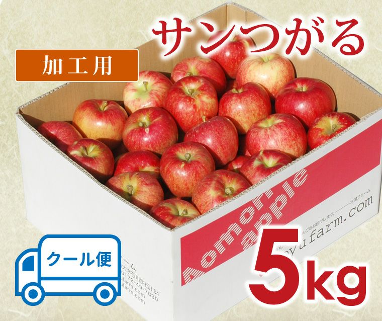 サンつがる【加工用】【5kg】 青森りんご産地直送 大湯ファーム