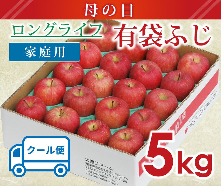 激安通販ショッピング ふるさと納税 長井市 糖度13度以上厳選 サンふじりんご5kg_H127 R4 matzi27.com